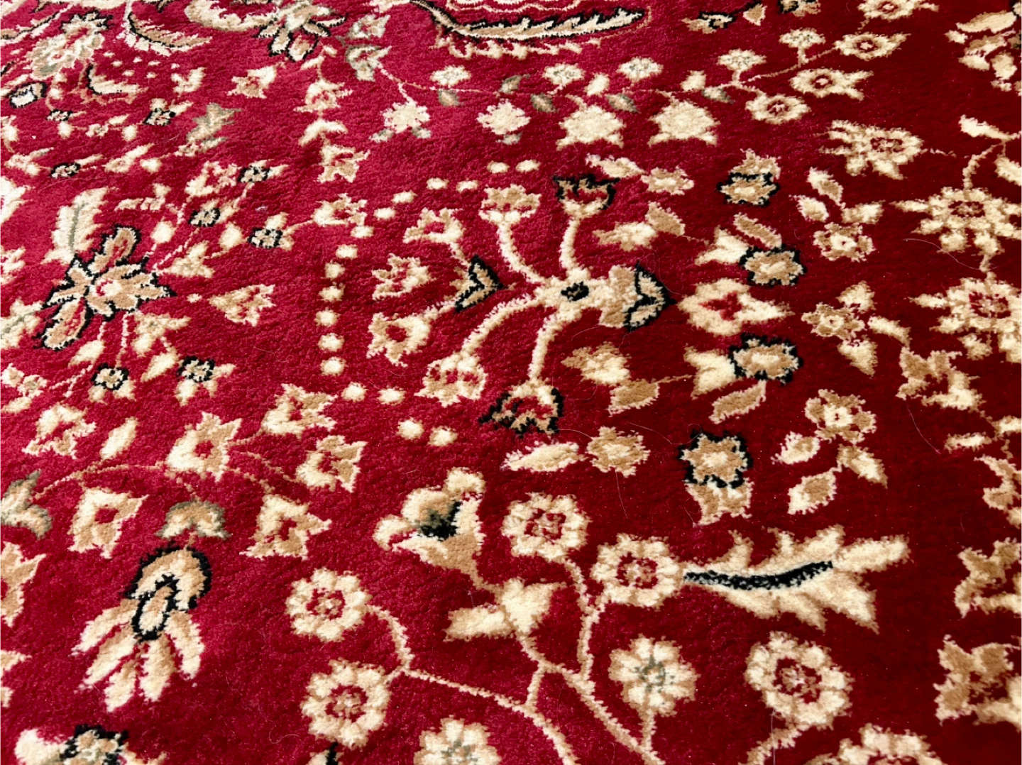 Klose Oriental Area Rug - photo 4
