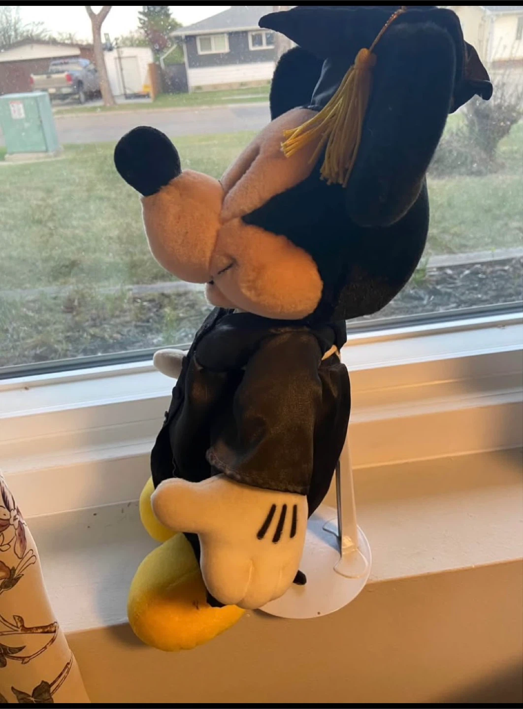 🥕Mickey Mouse Graduation Plush - photo 2