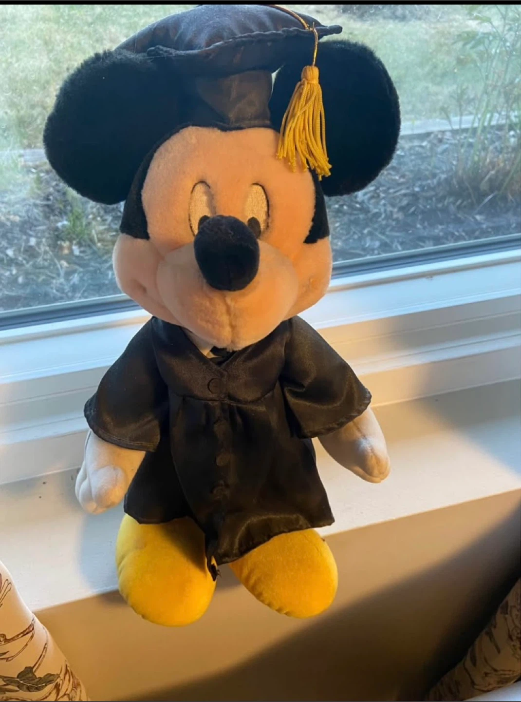 🥕Mickey Mouse Graduation Plush