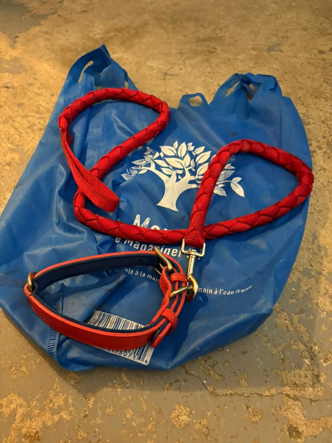 Red Braided Dog Leash and Collar Set - photo 2