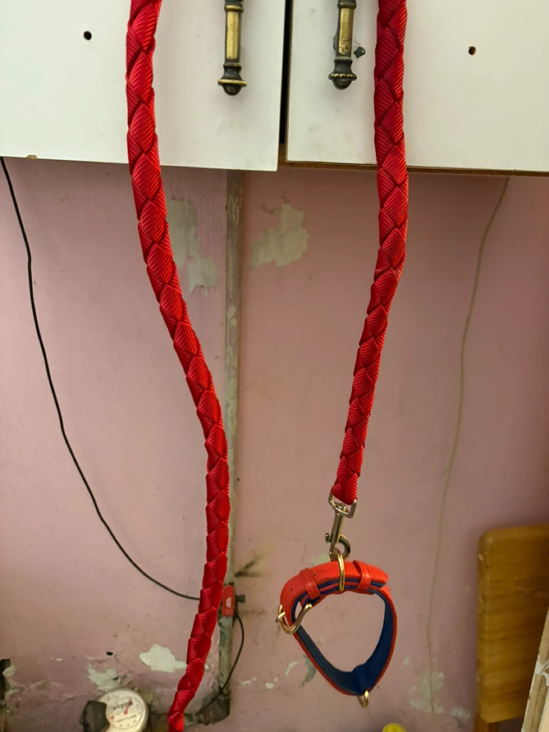 Red Braided Dog Leash and Collar Set