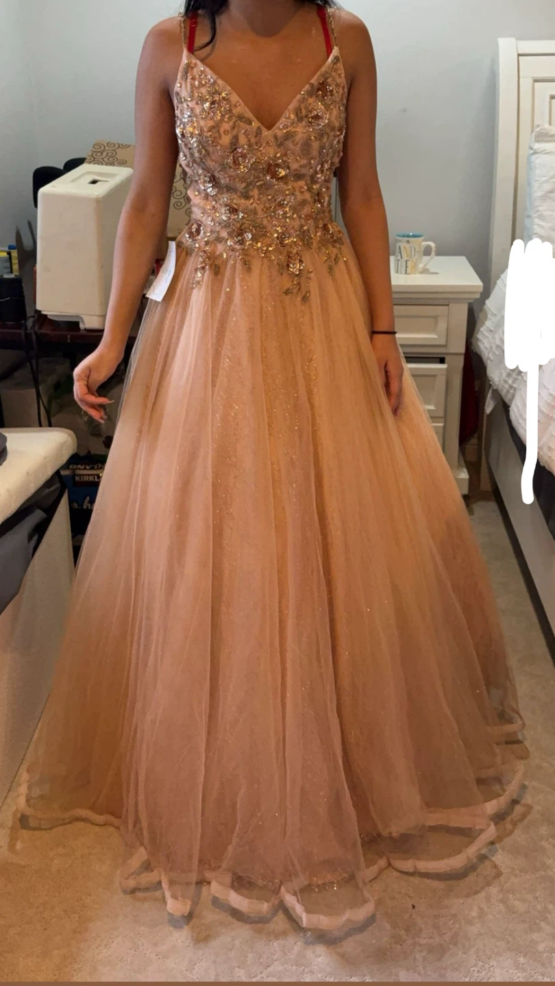 Blush Formal Gown with Gold Embroidery - photo 2