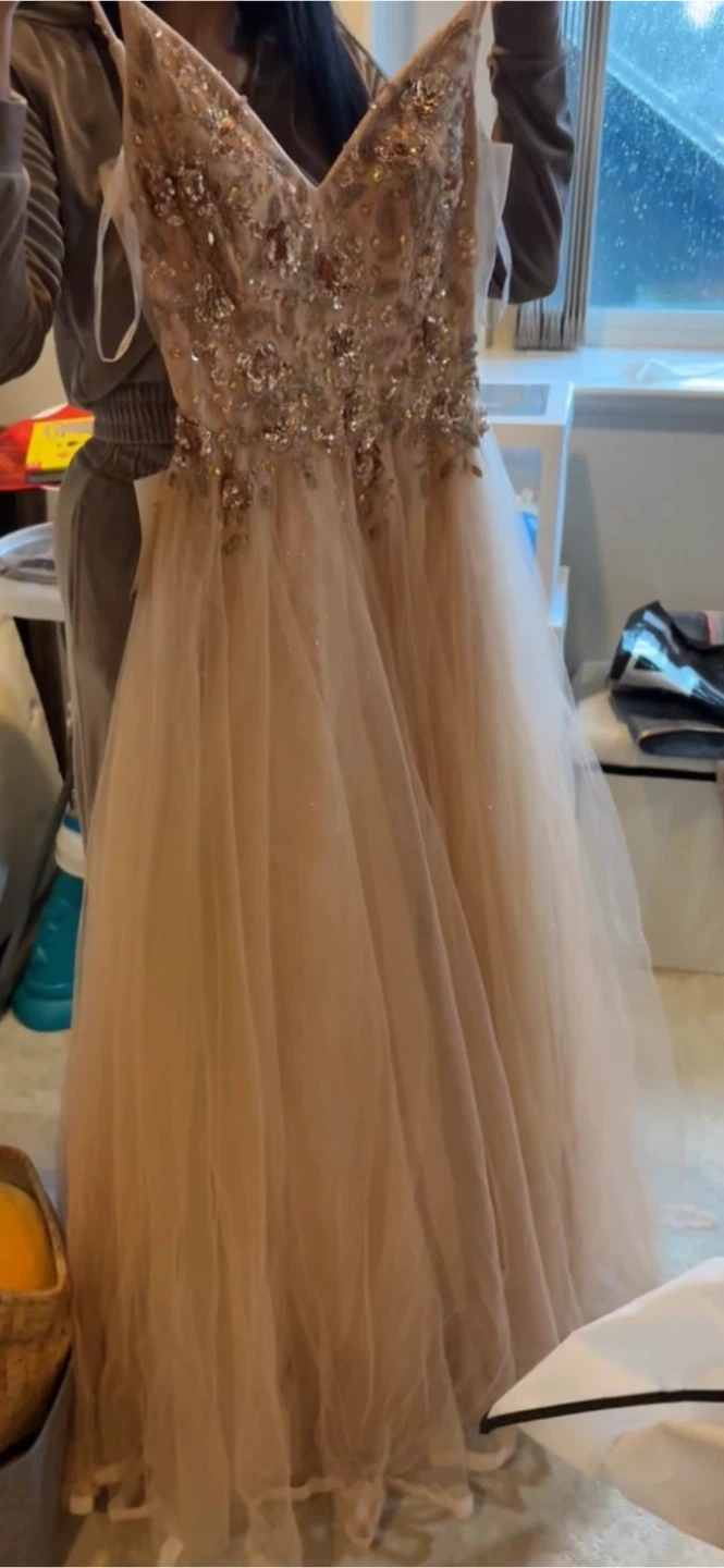 Blush Formal Gown with Gold Embroidery