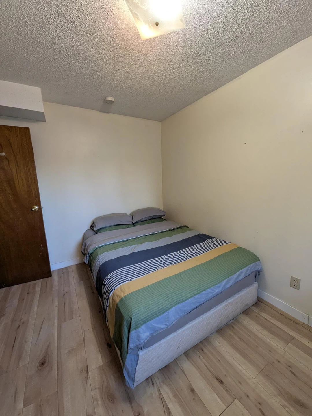 Basement for rent