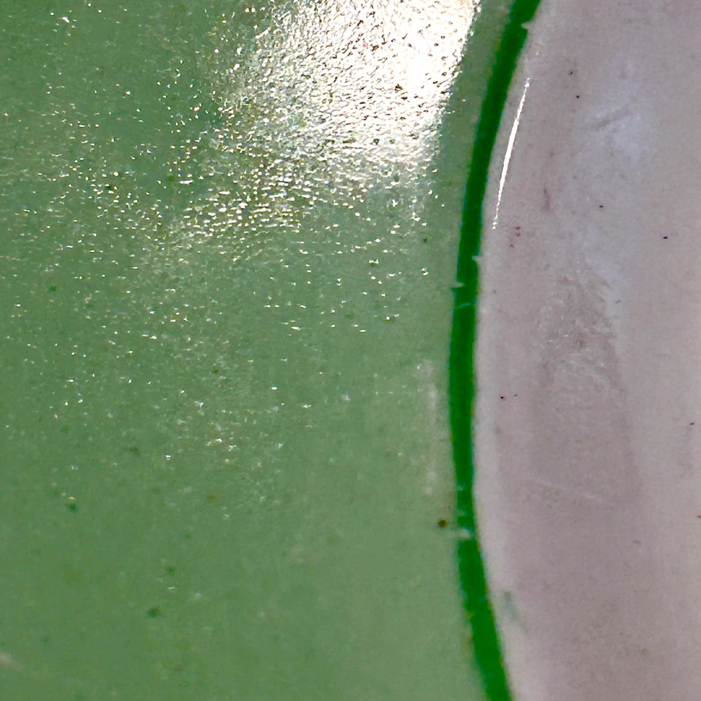 Clarice Cliff Marked Floral Cabinet Plate, 10¾”, Green Rim - photo 5