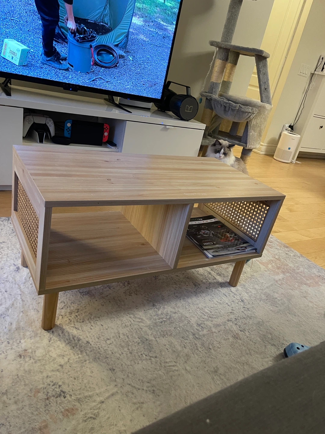 Rattan Coffee Table with Storage