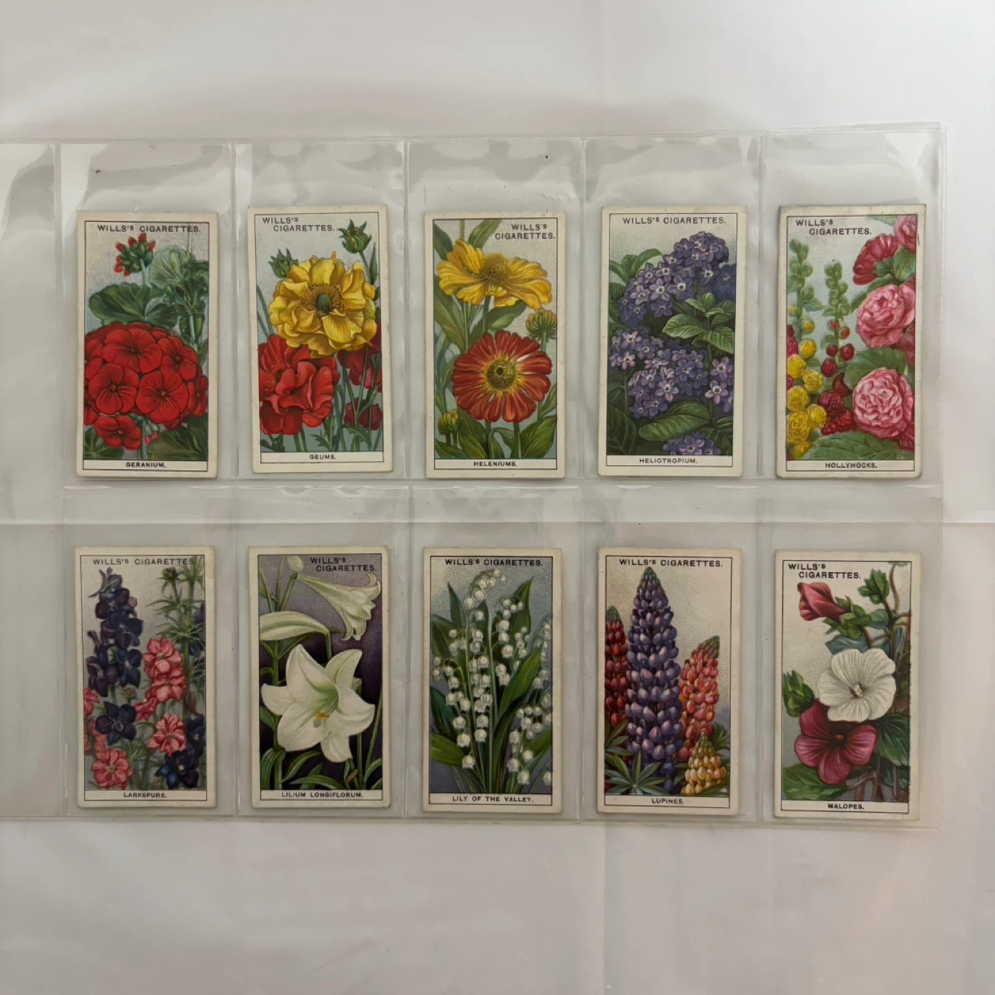 Wills's Cigarettes Flower Cards Collection - photo 4