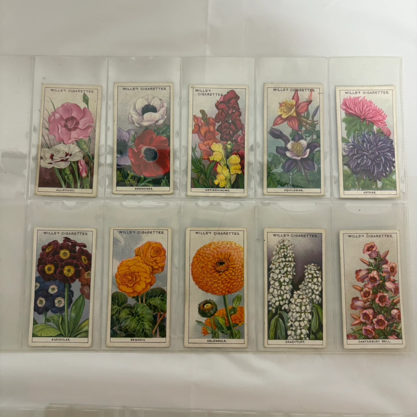 Wills's Cigarettes Flower Cards Collection - photo 3