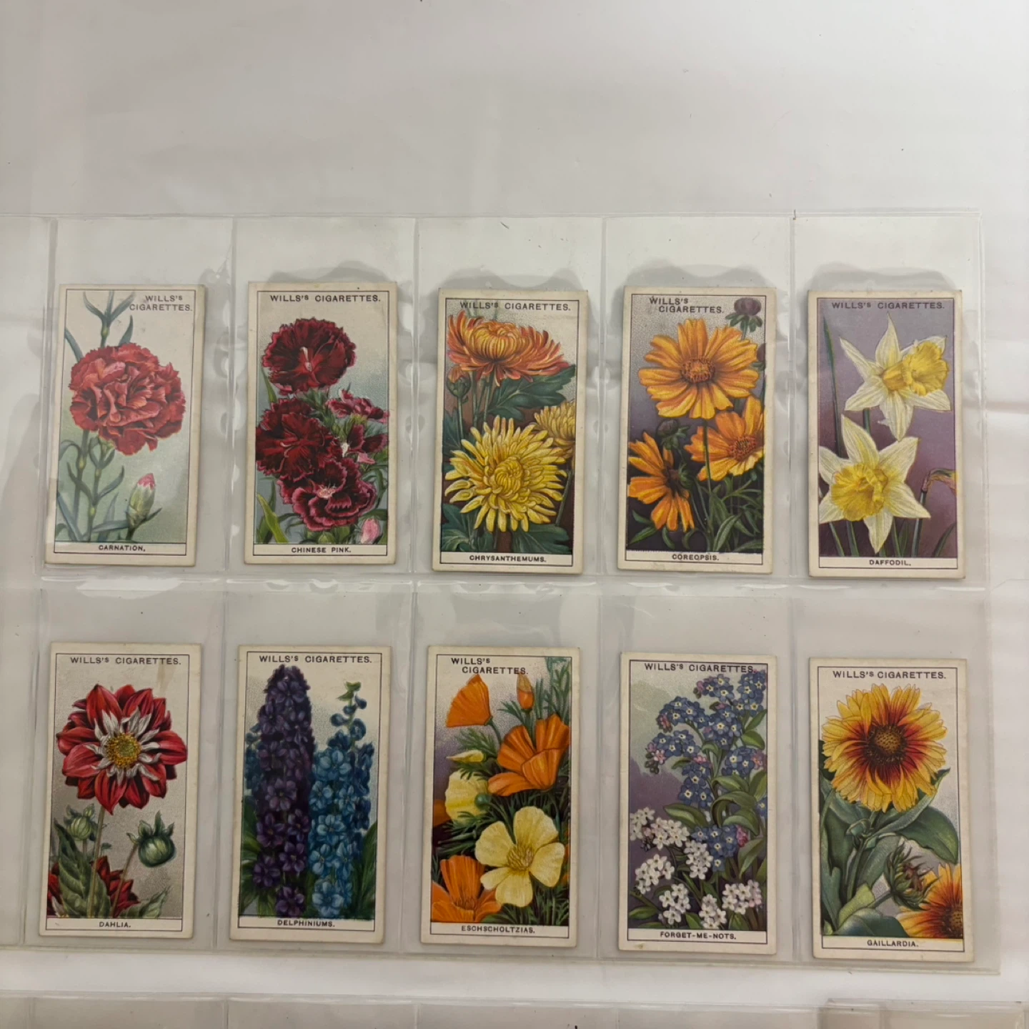 Wills's Cigarettes Flower Cards Collection - photo 2
