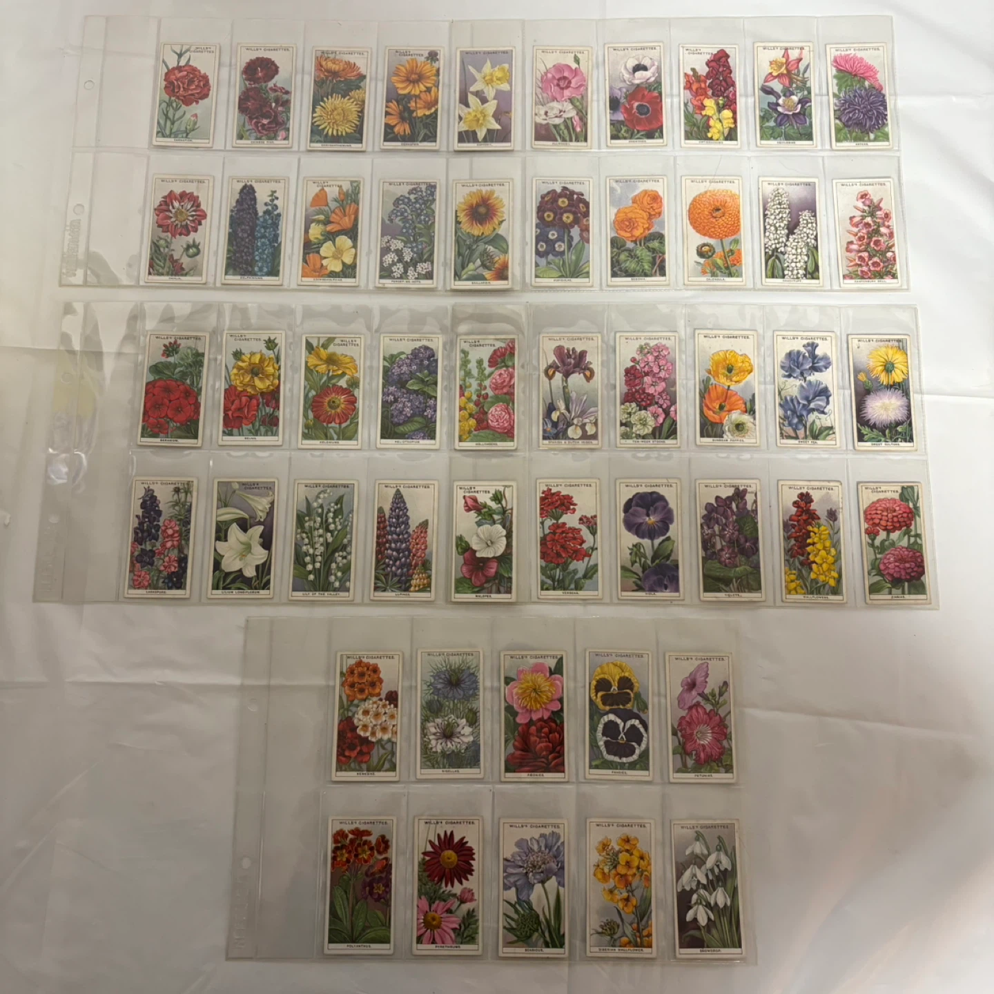Wills's Cigarettes Flower Cards Collection