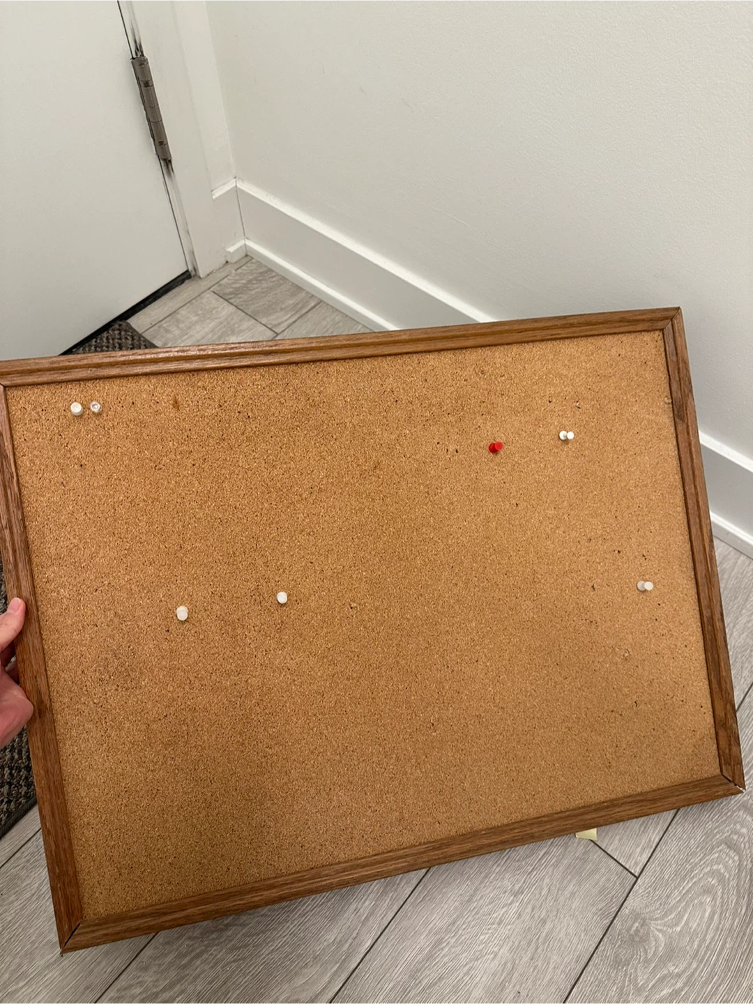 Cork Board + push pins
