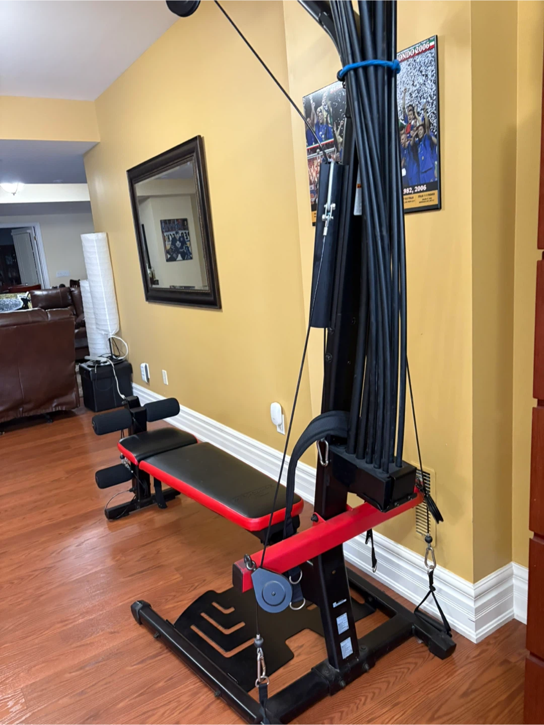 Bowflex PR1000 Home Gym - photo 2
