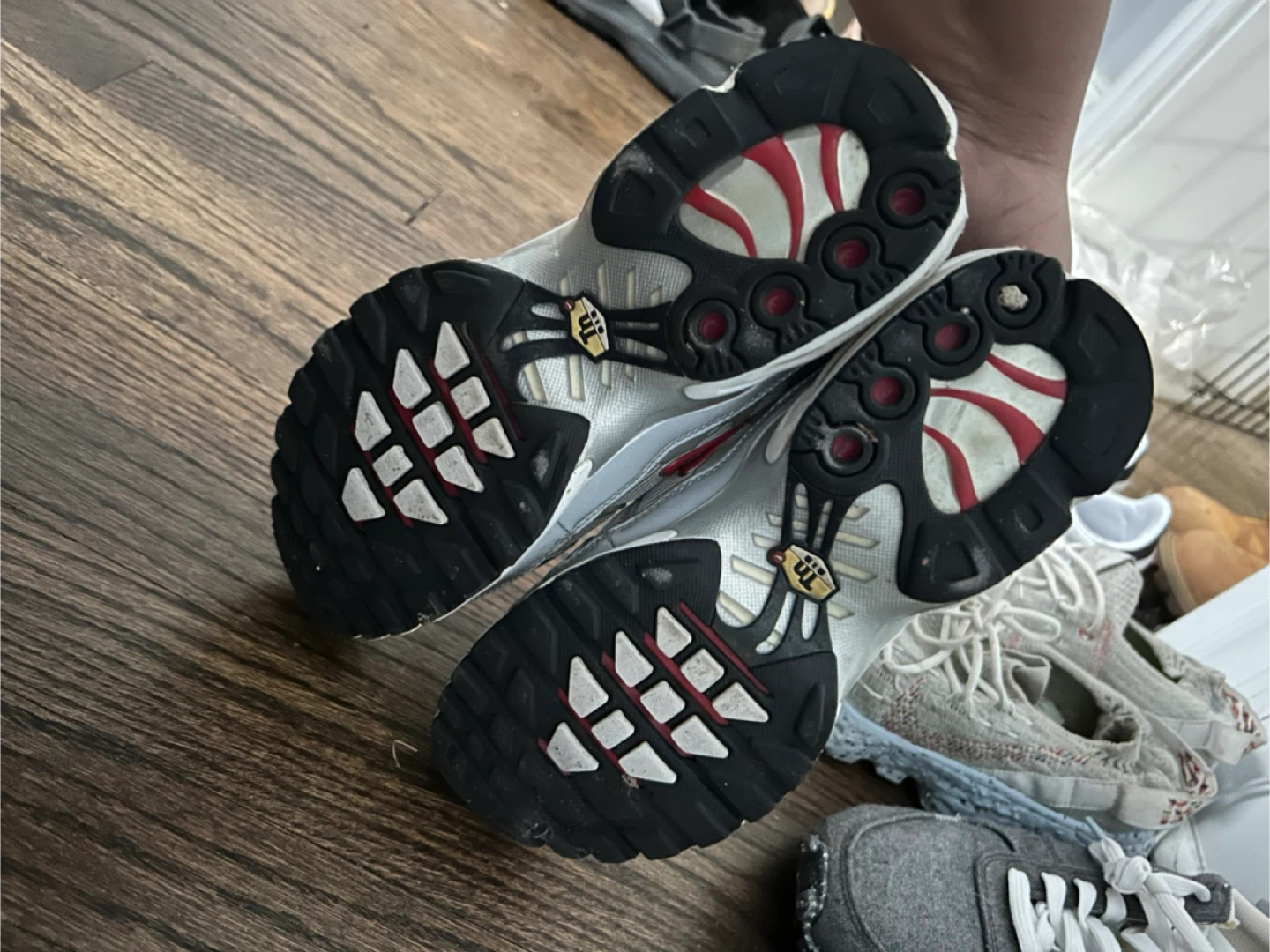 Nike Air Max Plus TN Silver - photo 4