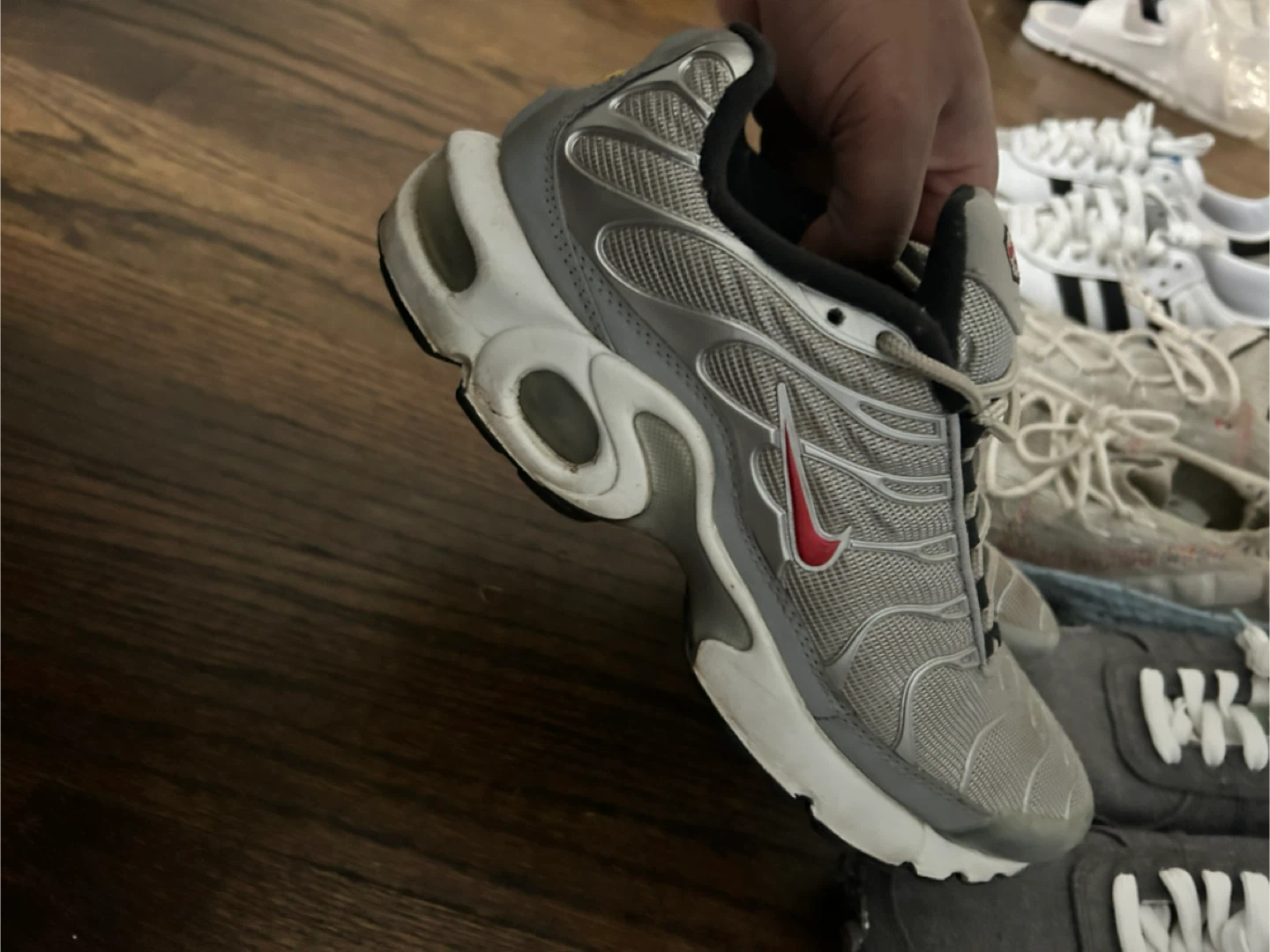 Nike Air Max Plus TN Silver