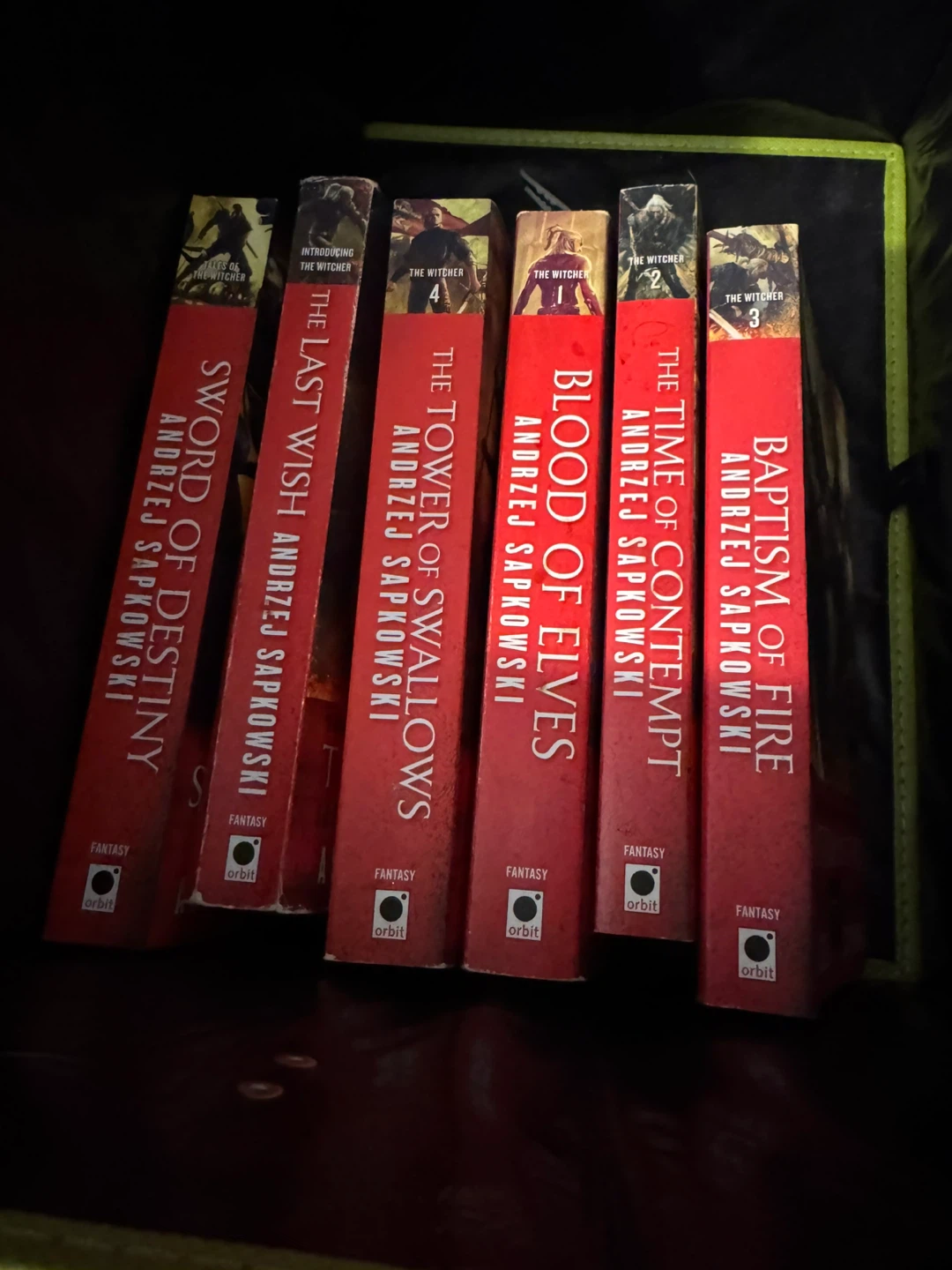 The Witcher Book Series by Andrzej Sapkowski