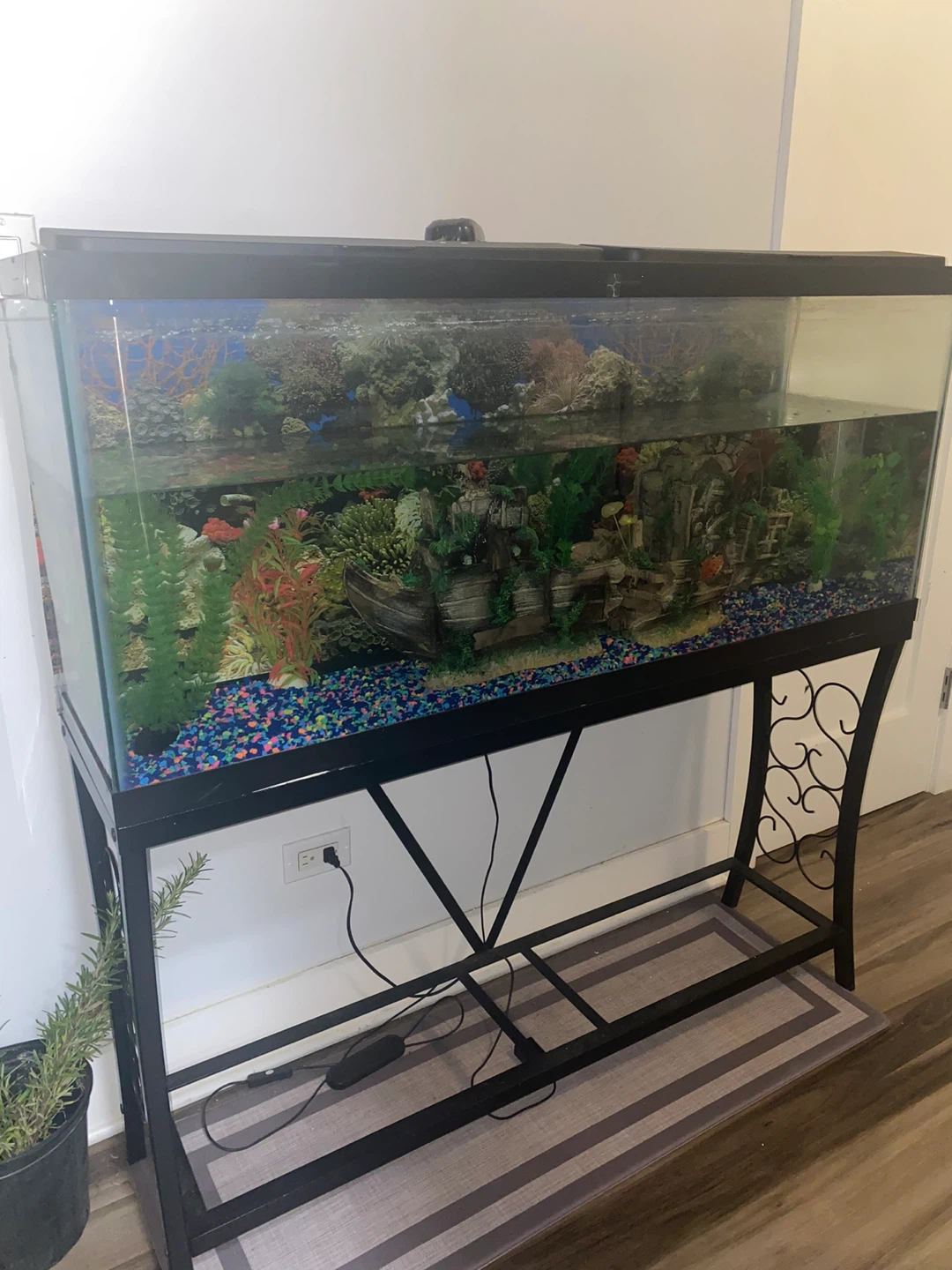 Used Fish Tank with Stand