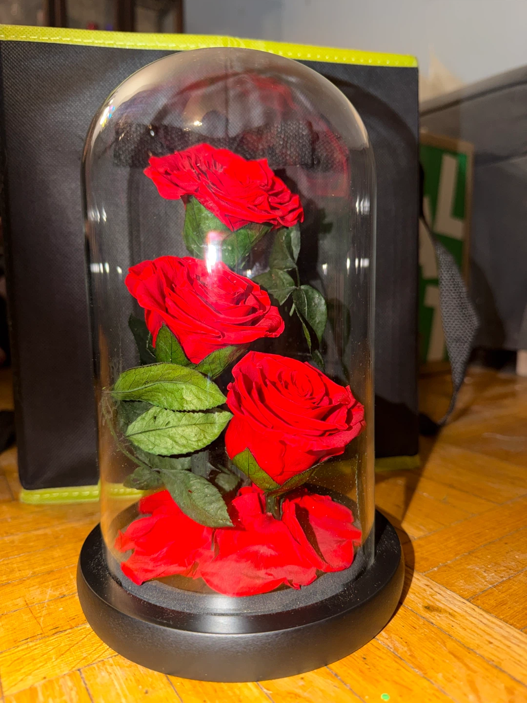 Livoccurr Preserved Red Rose in Glass Dome