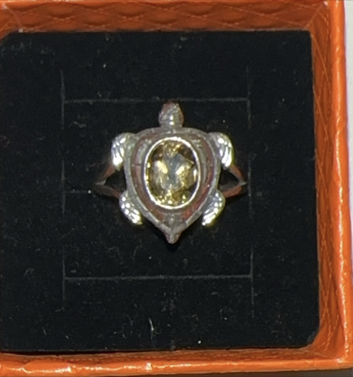 Turtle citrine