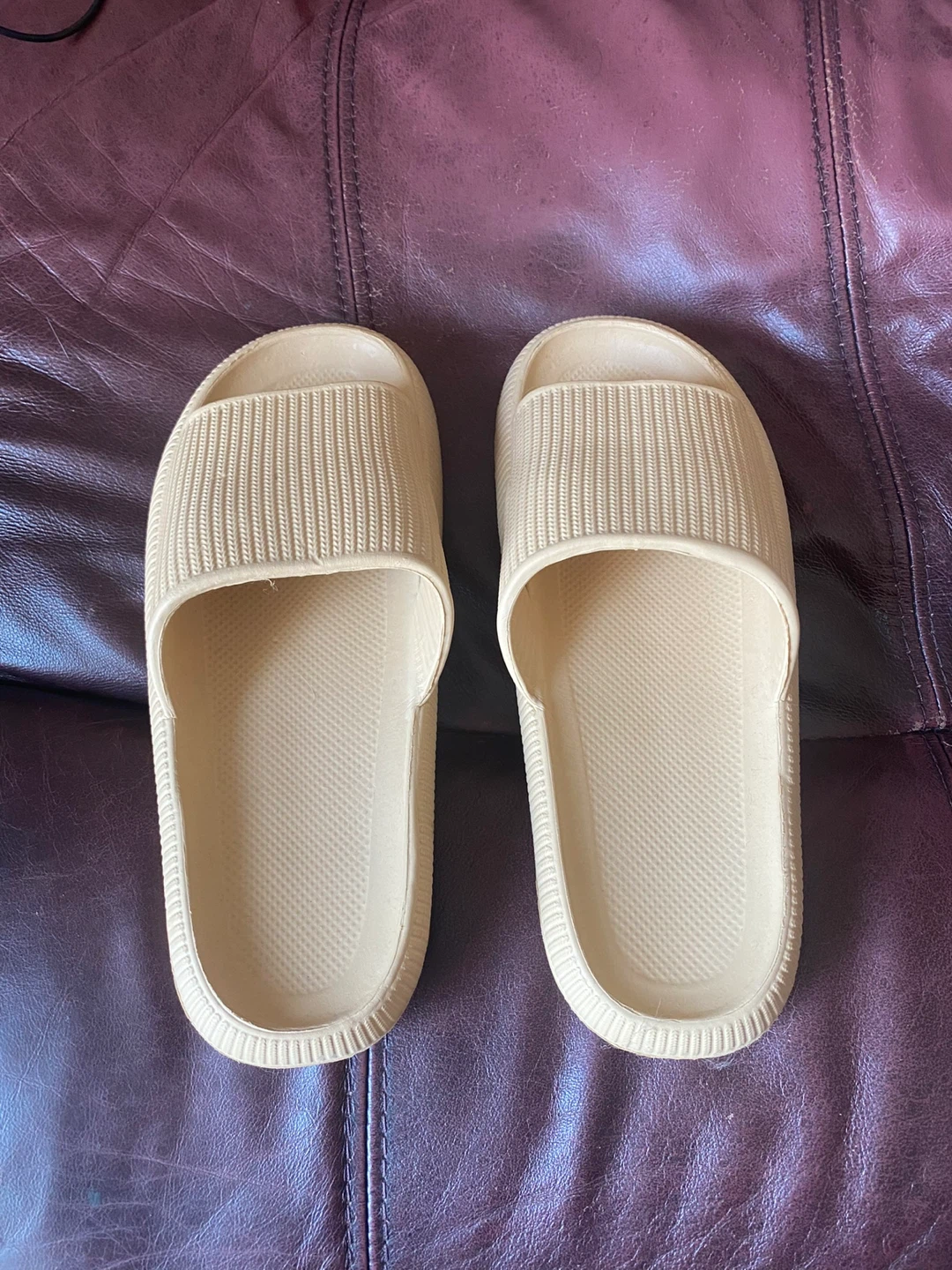 Tan Cloud Slides