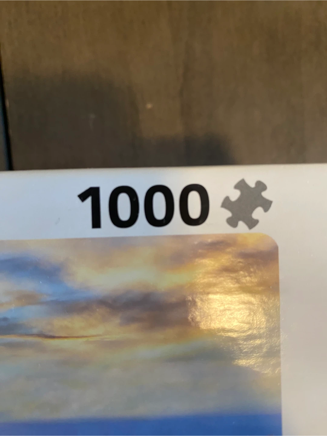 Airpano Eurographics 1000 Piece Toronto Puzzle - photo 2