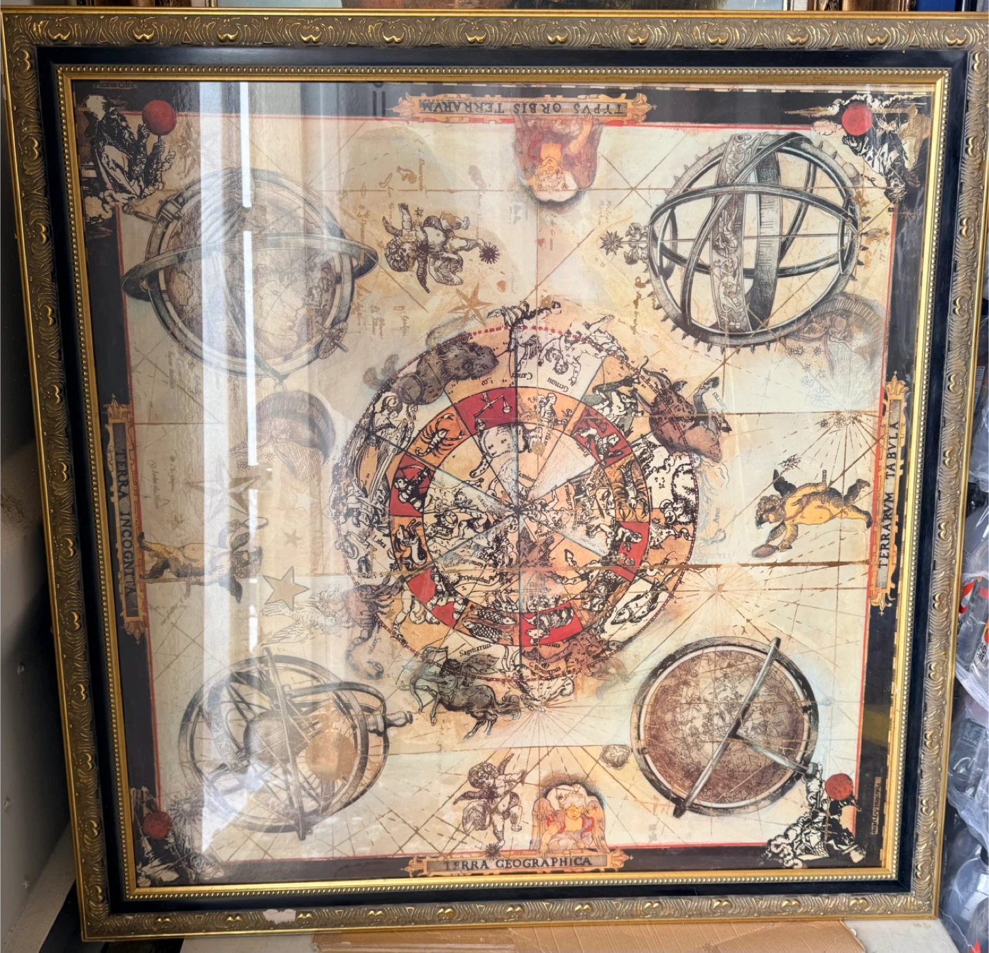 Framed Terra Geographica Art Print