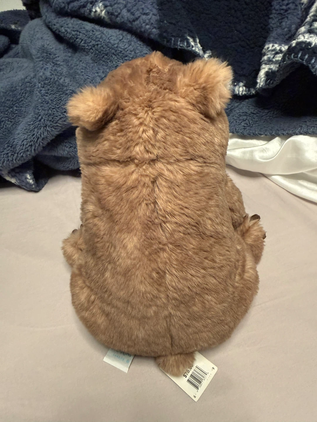 Jellycat Wonda Wombat - photo 5