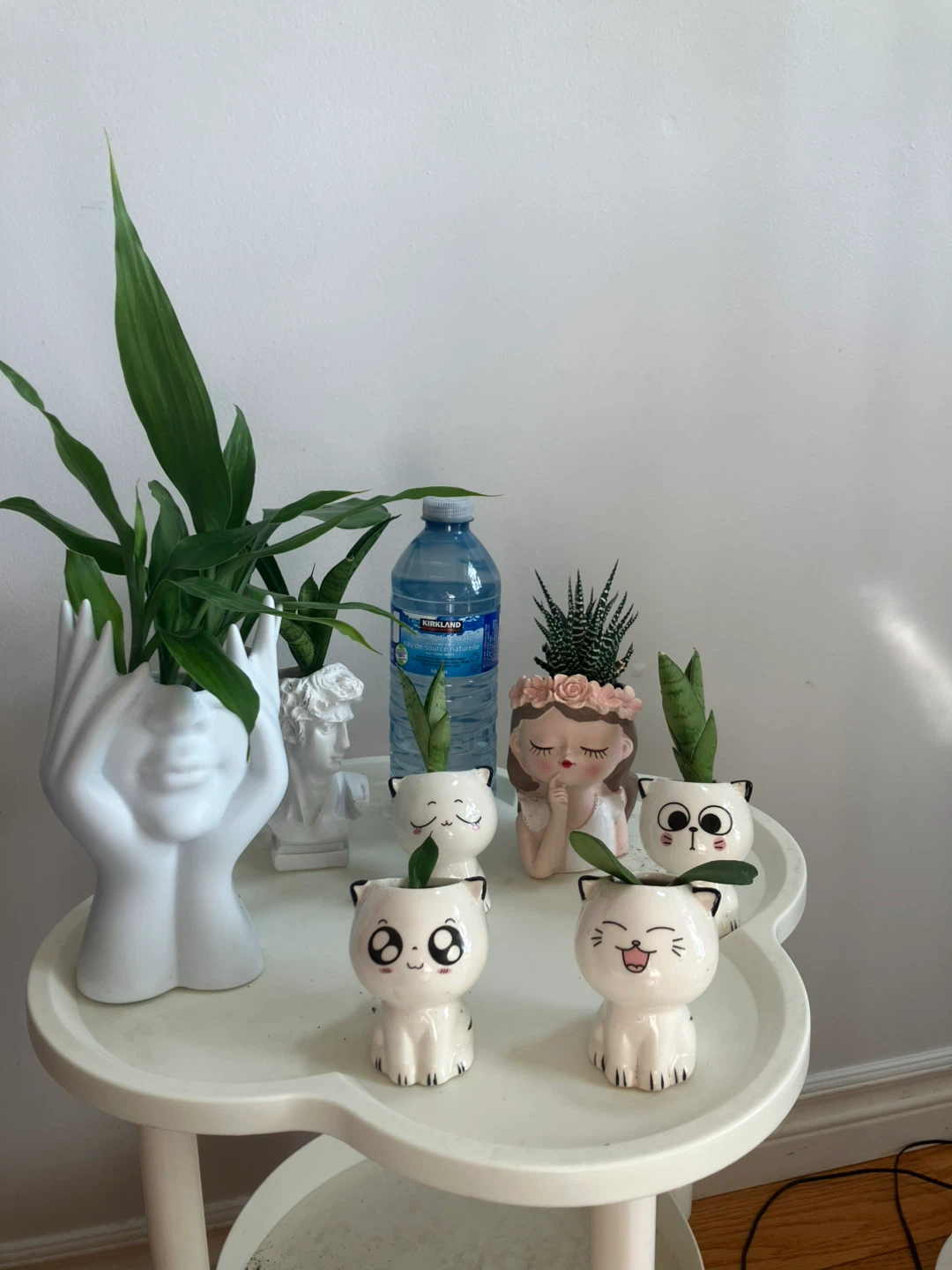 Cute Succulent in 4.5 inch pot of Decorative Girl Planter 🌵 - photo 3