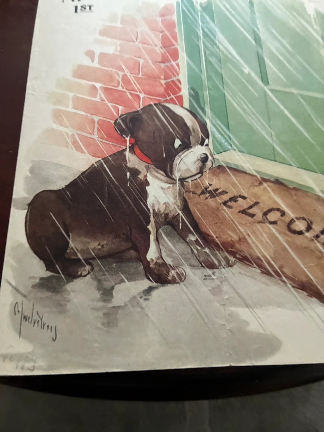 Boston Terrier dog vintage ad calendar Welcome puppy rain 1920s - photo 2