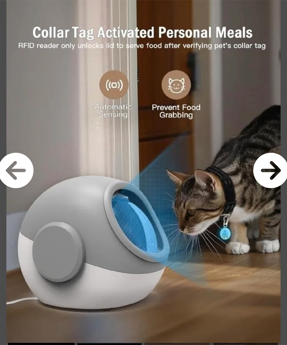 Sphere Microchip Pet Feeder - photo 4