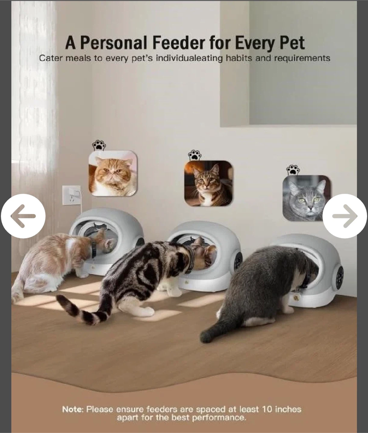 Sphere Microchip Pet Feeder - photo 2