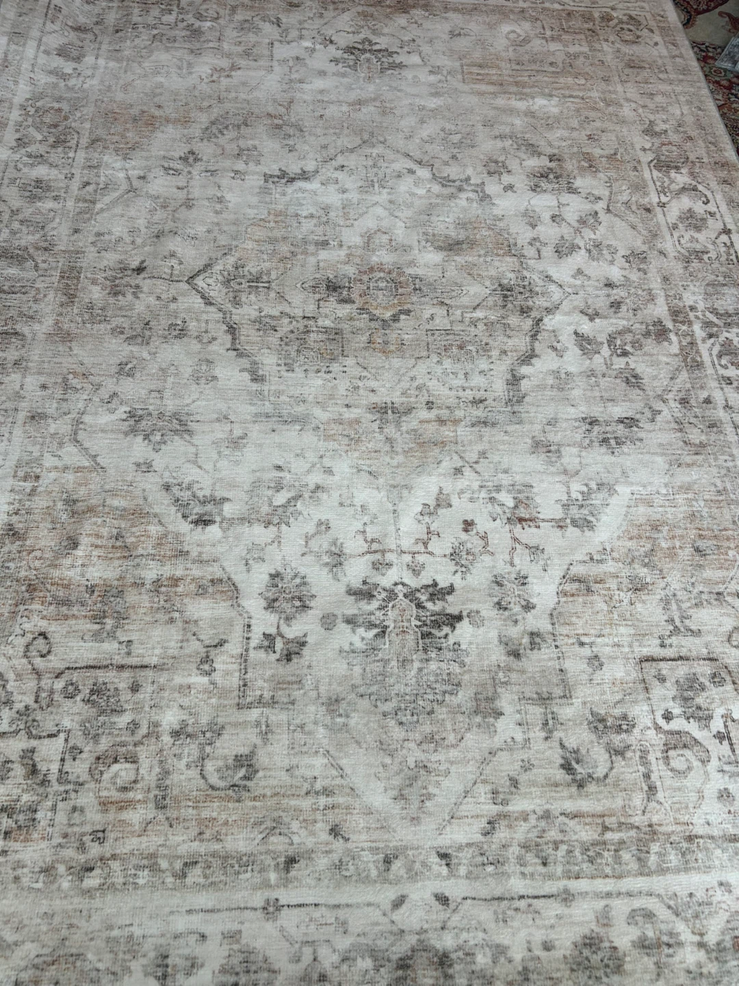 Beige Area Rug - 6ft x 9ft - photo 2