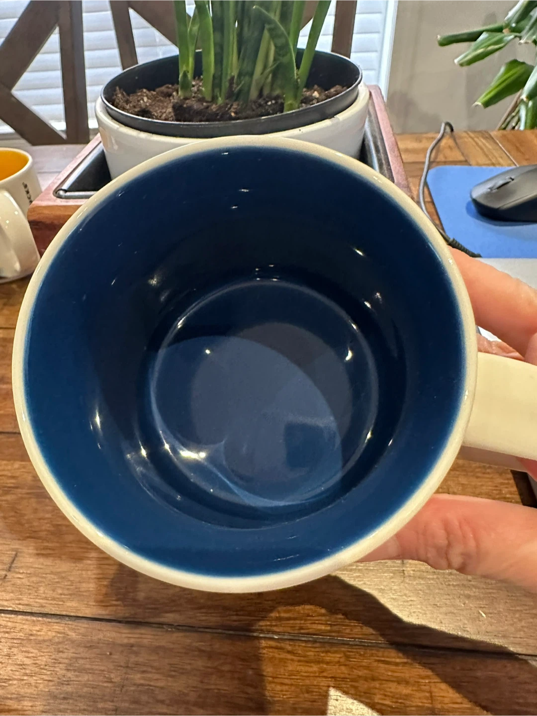 Starbucks San Diego Mug - photo 2