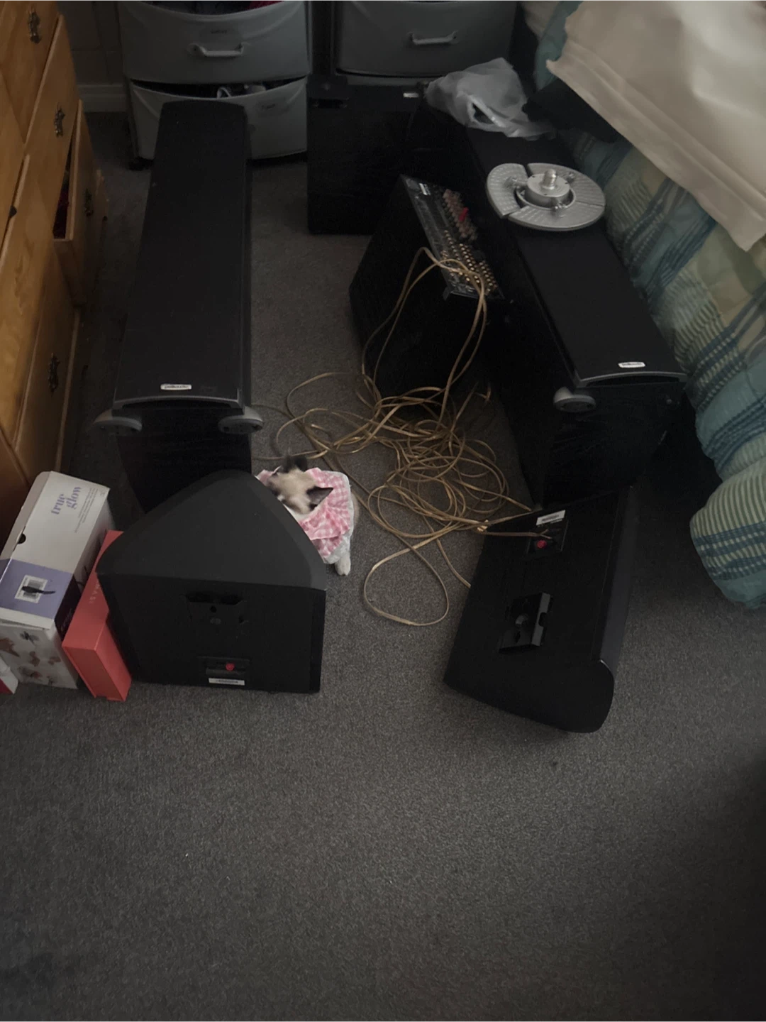 Polk Audio Speakers