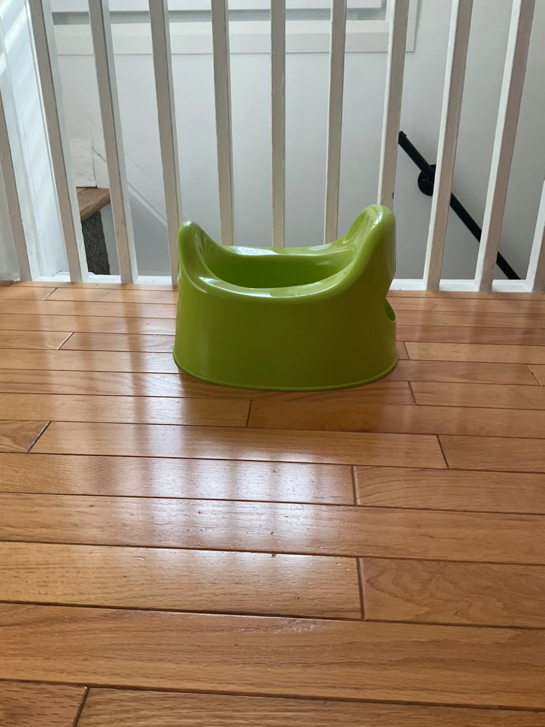 IKEA Green Potty Training Seat