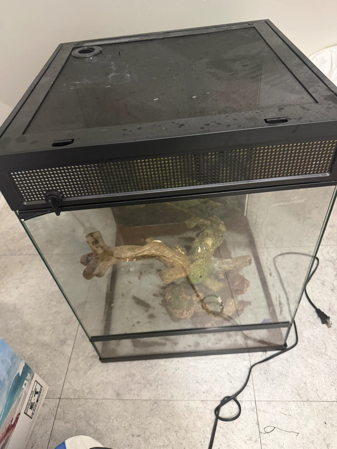 Reptile Enclosure Terrarium