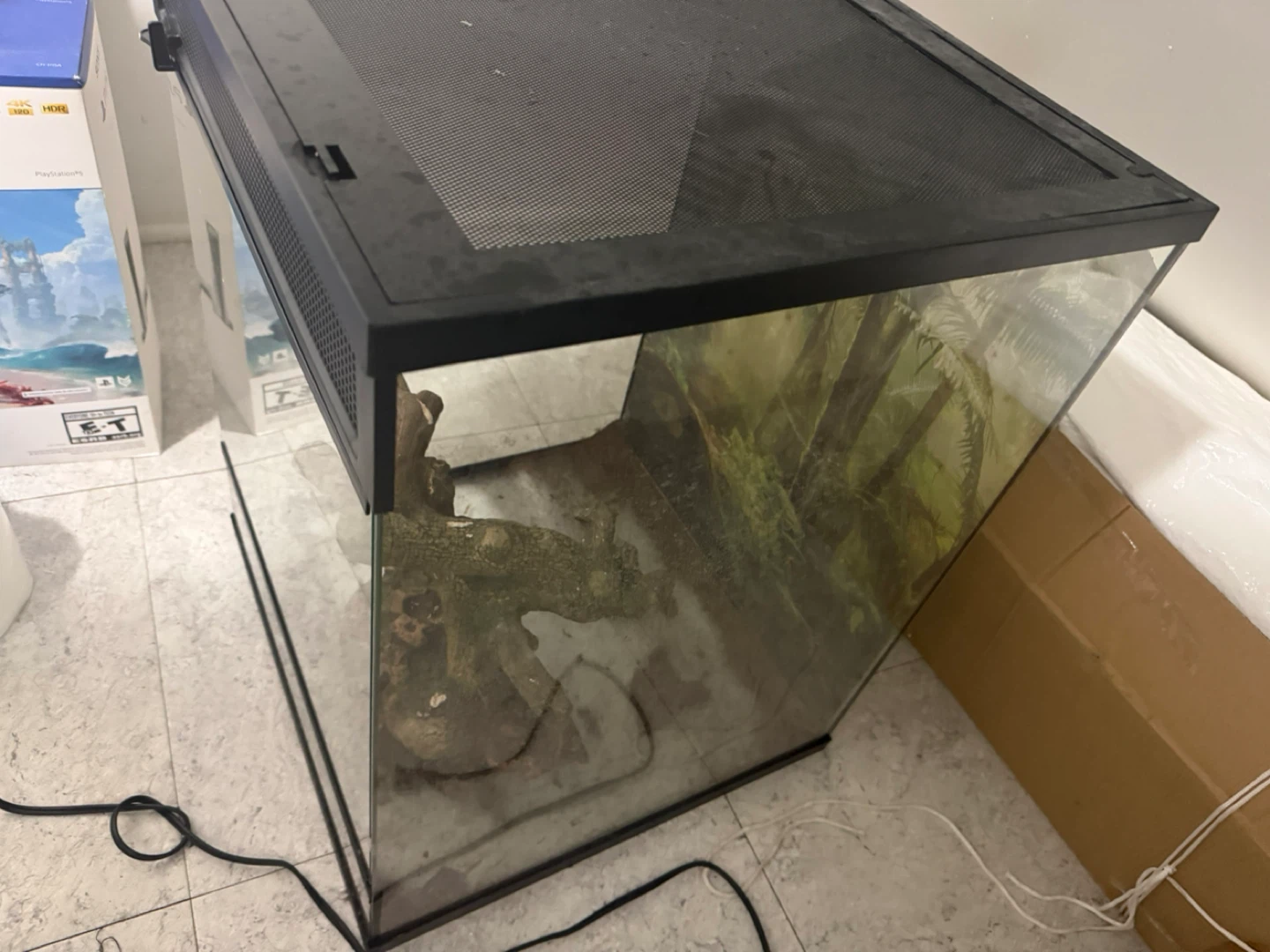 Reptile Enclosure Terrarium - photo 2