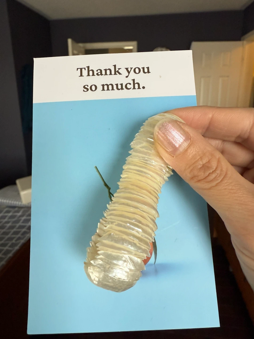 Shell Bracelet - Unique and Stylish - photo 2