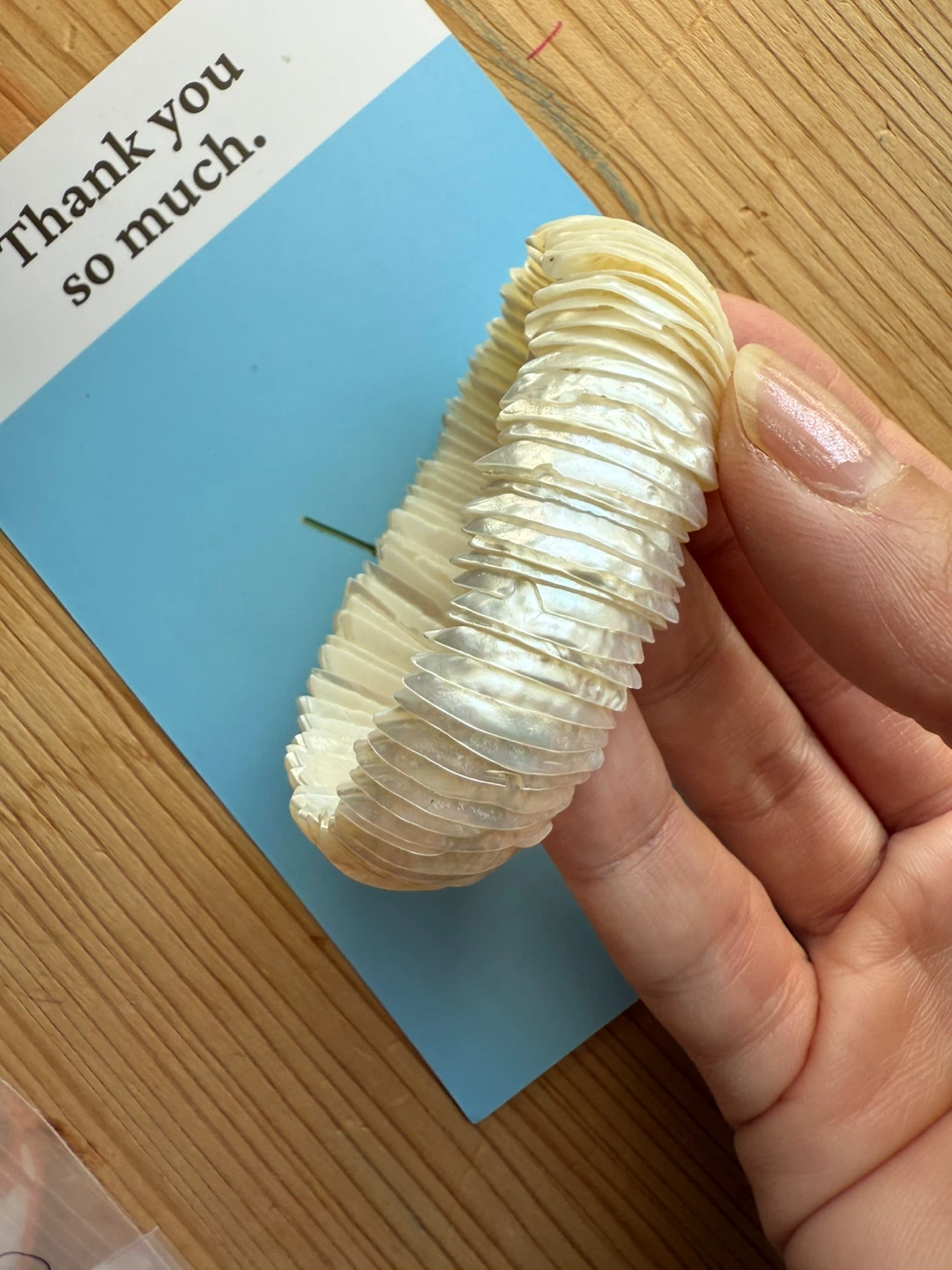 Shell Bracelet - Unique and Stylish - photo 4
