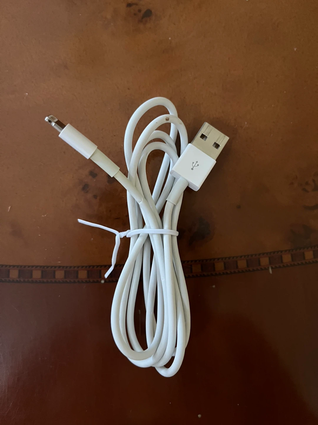 Apple USB to Lightning Cable 🥕