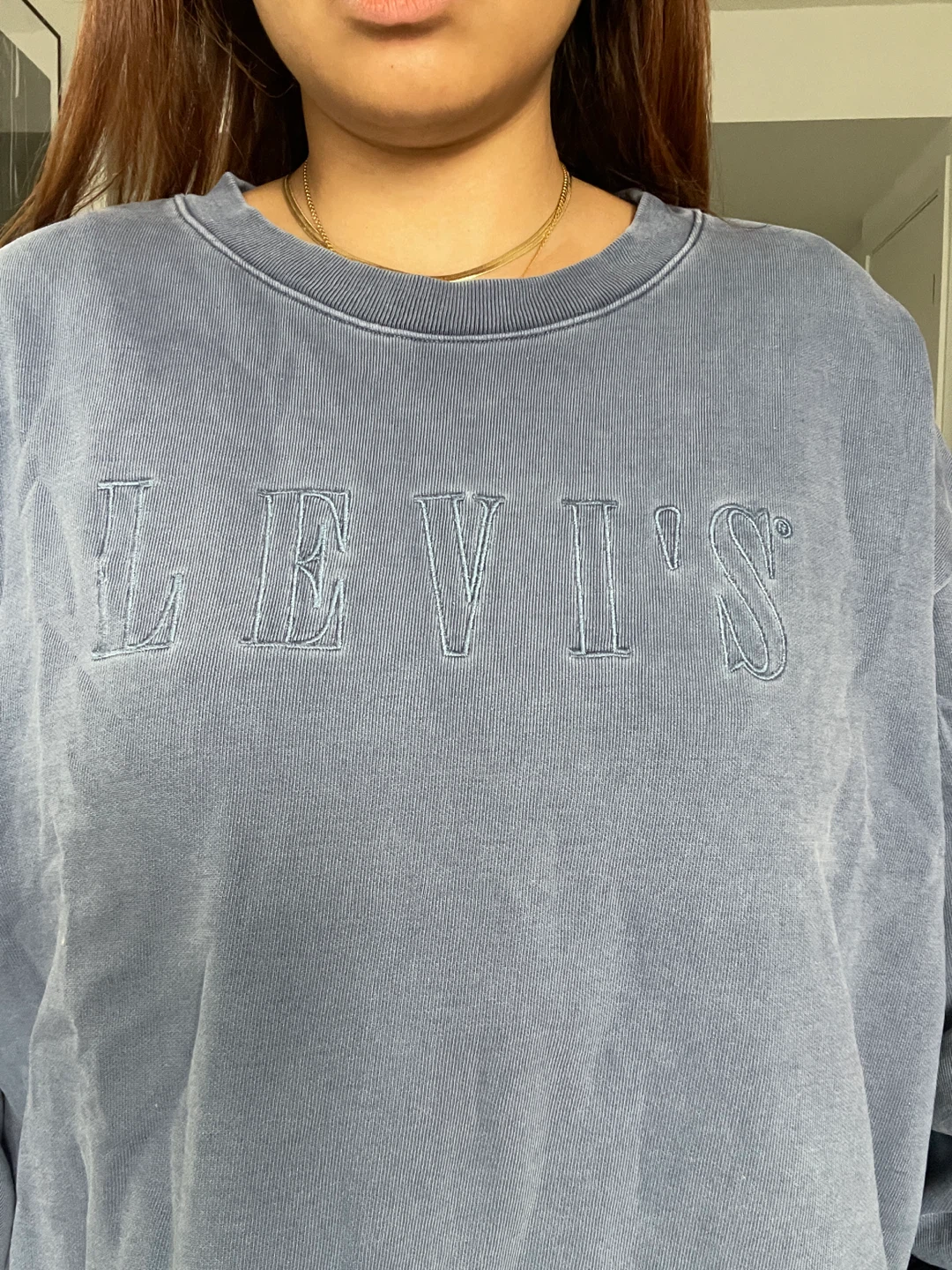 Levi's Blue Sweatshirt