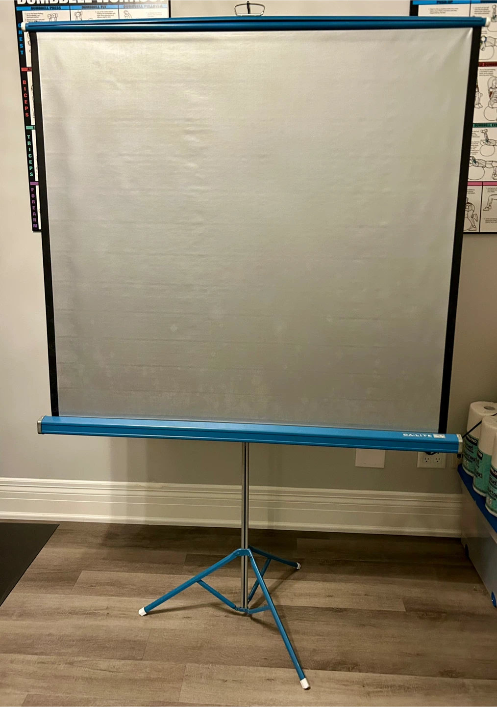 DA-LITE Projection Screen with Box -Vintage 1976