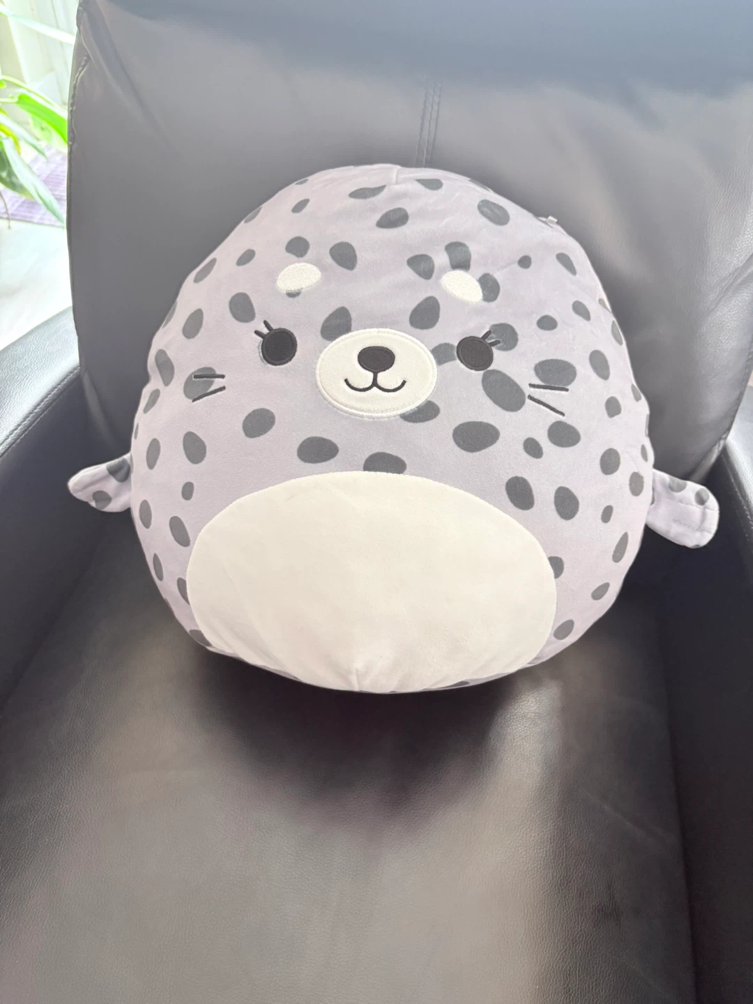 Squishmallows Stacy the Seal Plush - photo 3