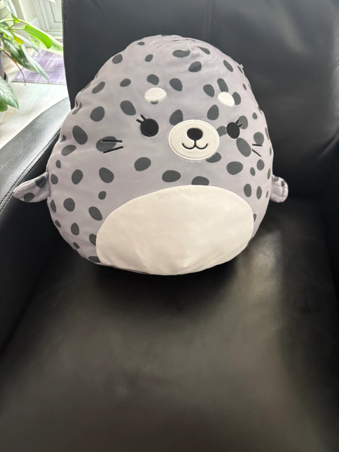 Squishmallows Stacy the Seal Plush - photo 5