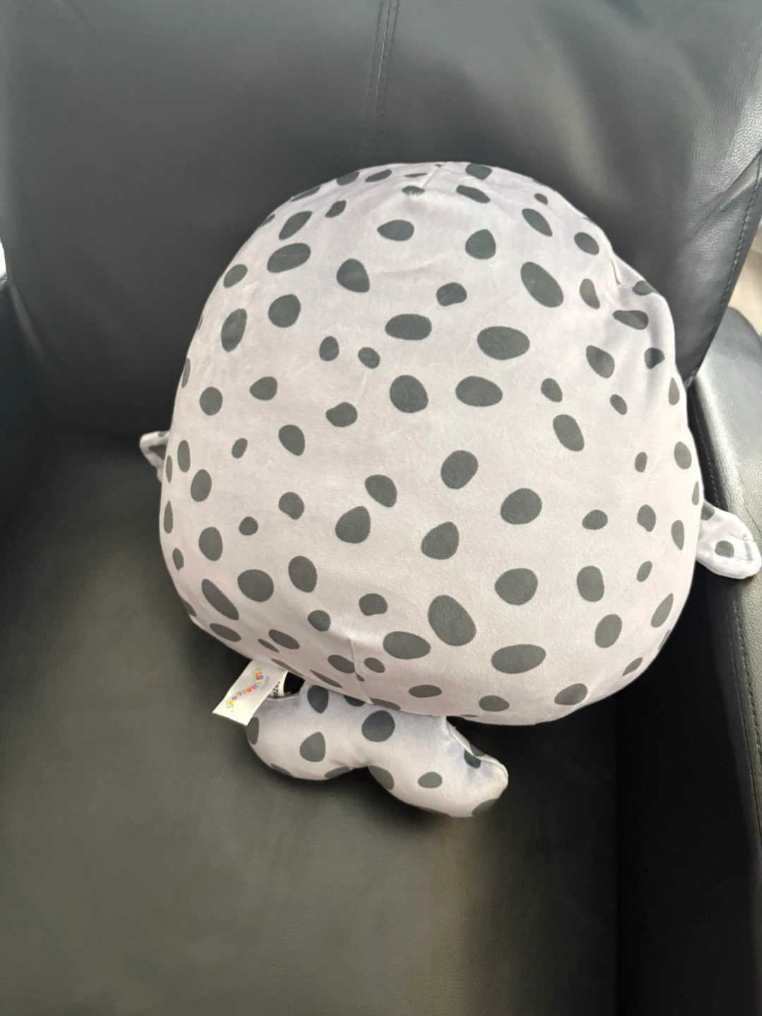 Squishmallows Stacy the Seal Plush - photo 4