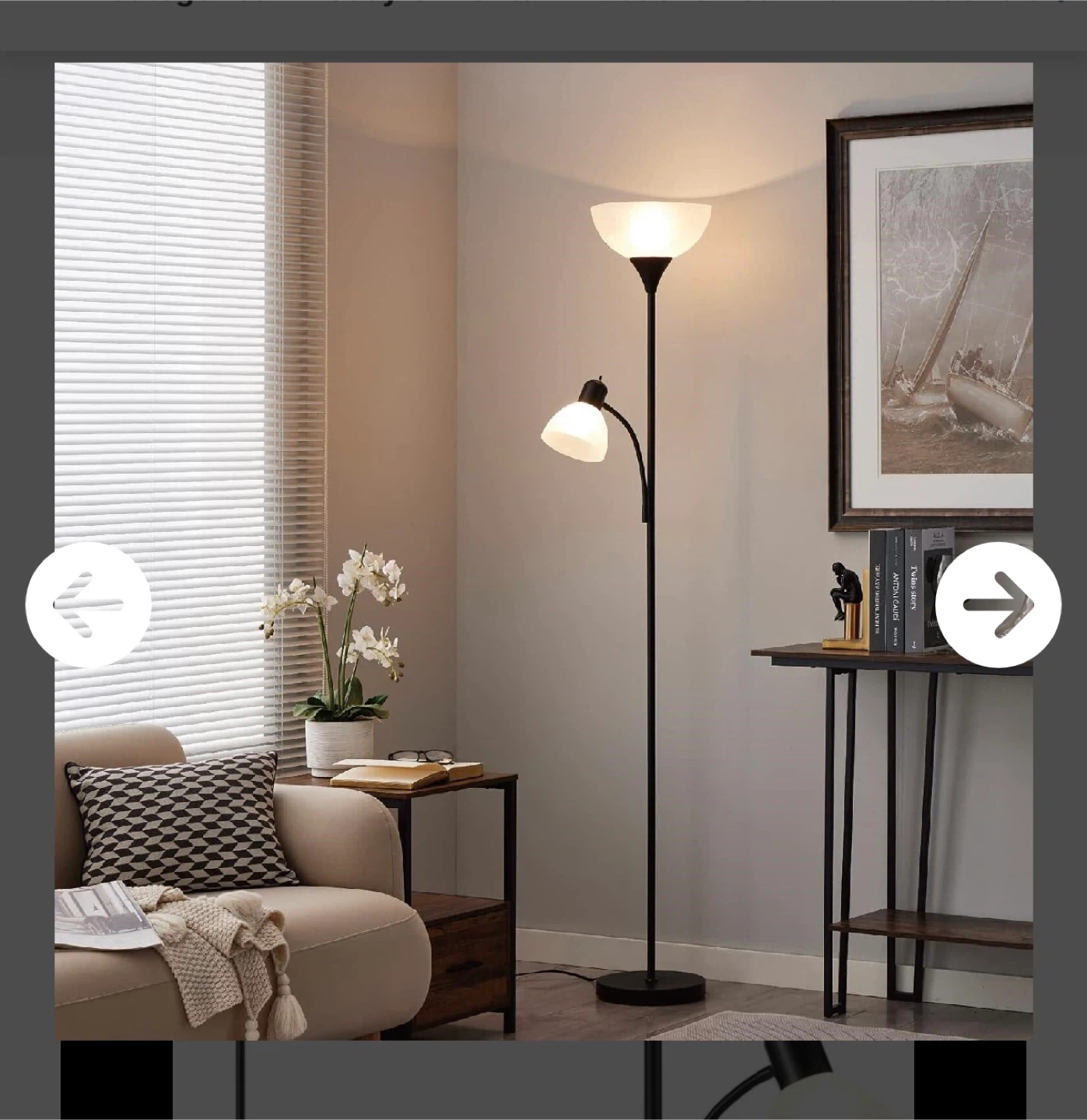 HonoDing Adjustable Black Floor Lamp - photo 3