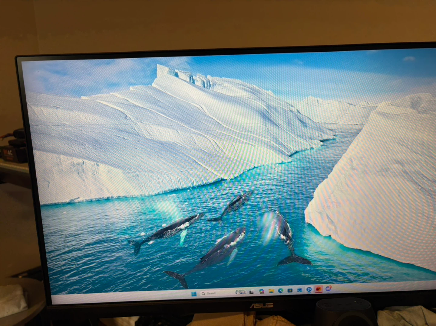 ASUS VG277 27" Gaming Monitor