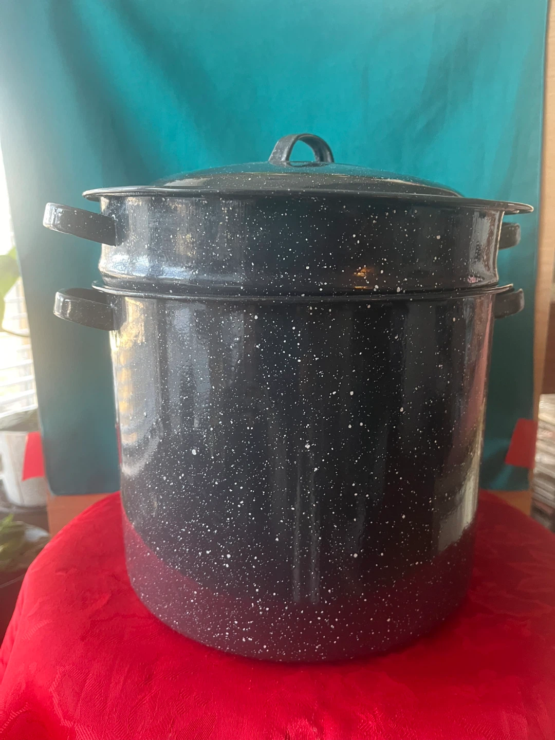 Granite Ware Steamer Pot with Lid