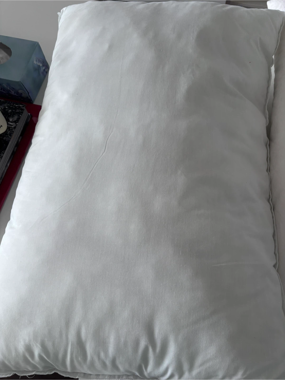 Free queen size pillows - photo 5