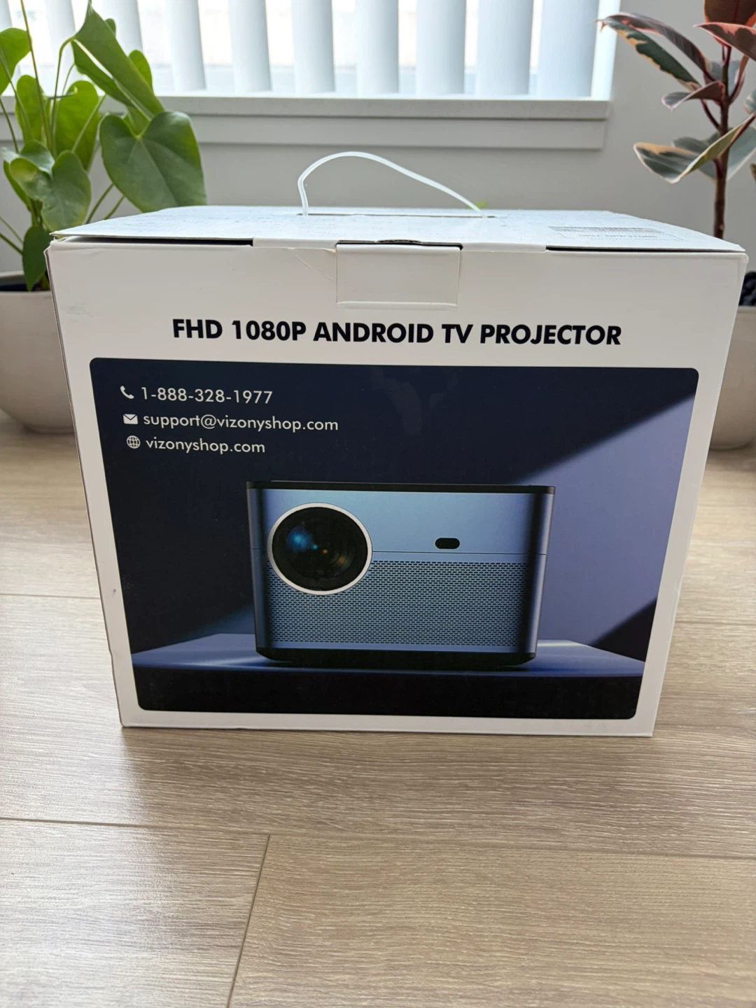 Projector