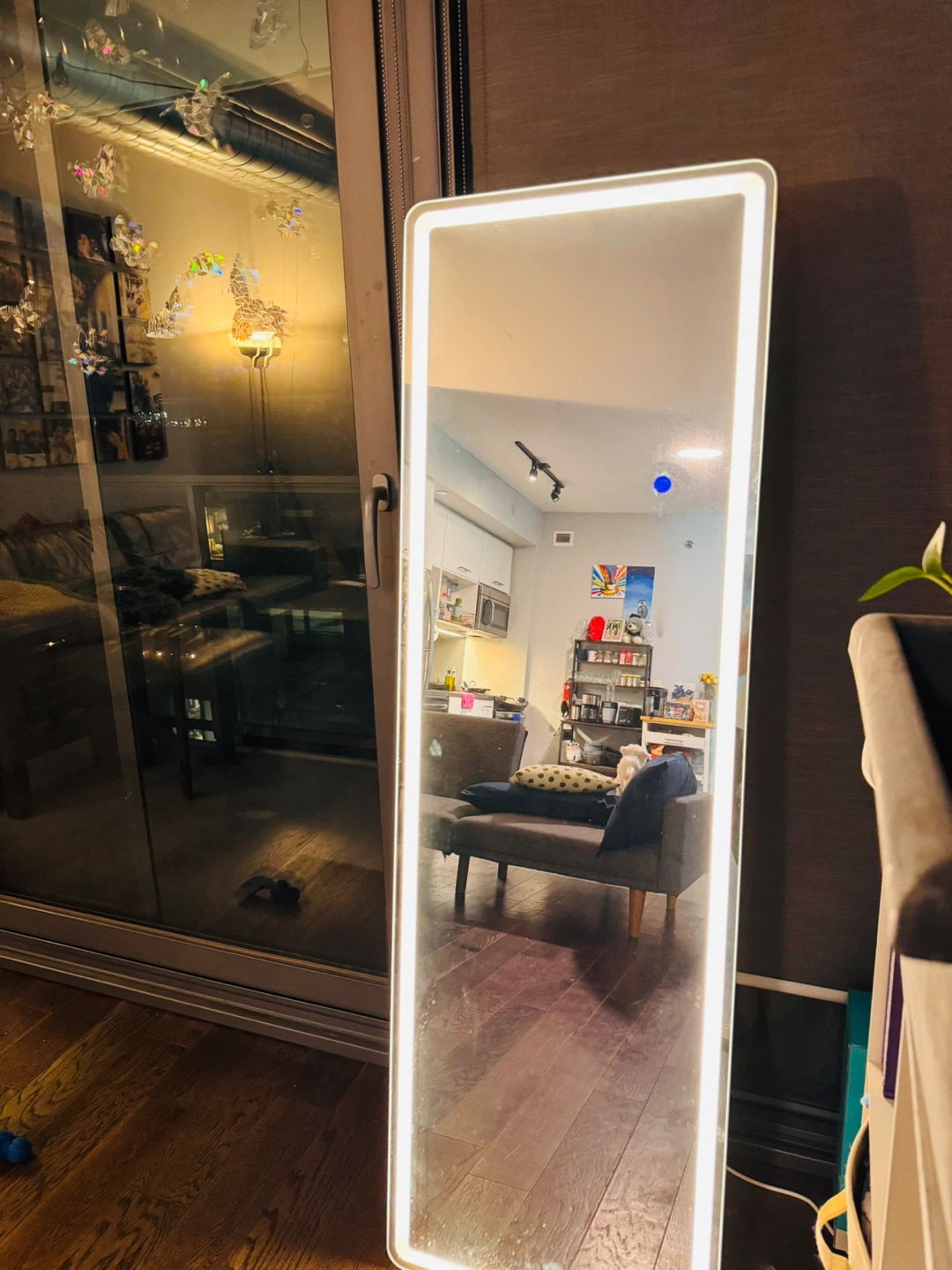 LED Full Length Mirror 🥕